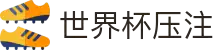 世界杯压注 - 世界杯足球赛前情报与赛况更新中心